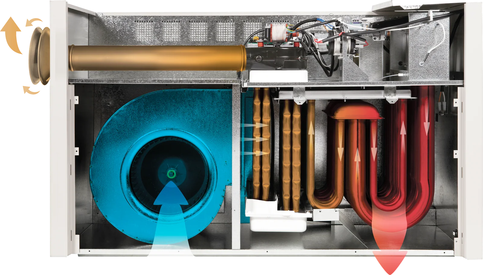 Cutaway of a Brivis StarPro gas ducted heater showing the fan, burner and heat exchanger inside the cabinet